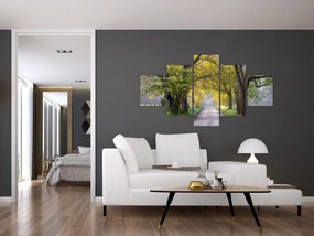 Zdjęcie - Smoky Mountains, Gatlinburg, USA (125x70 cm)