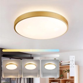 Brilagi - Ściemnialna oprawa LED GLASS POOL DOUBLE LED/60W/230V 50 cm złota + pilot