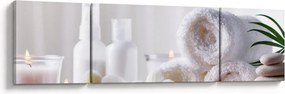 Obraz - Spa (170x50 cm)