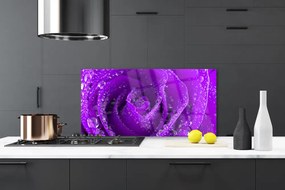 Panel Kuchenny Aksamitna Róża W Rozkwicie