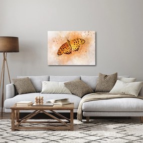 Obraz - Pomarańczowy motyl, akwarela (70x50 cm)