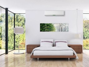 Obraz - Zima kontra lato (170x50 cm)