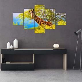 Obraz żyrafy w Afryce (125x70 cm)