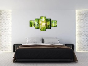 Obraz - Świt w lesie (125x70 cm)