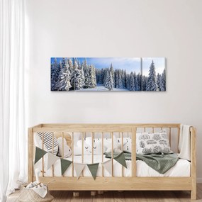 Obraz - Zima w lasach (170x50 cm)