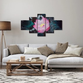 Obraz różowego kwiatu (125x70 cm)
