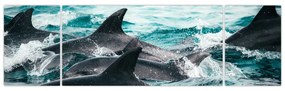 Obraz - Delfiny w oceanie (170x50 cm)