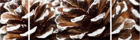 Obraz - Pączki (170x50 cm)