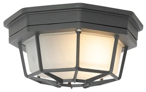 Lampa sufitowa rustykalna ciemnoszara 21,3 cm IP44 - Bri