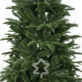 Jodła kaukaska 100% 210 cm