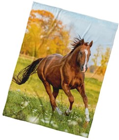 BedTex Koc mikroplyš Ryzák na louce (ryżowy nałące), 150 x 200 cm