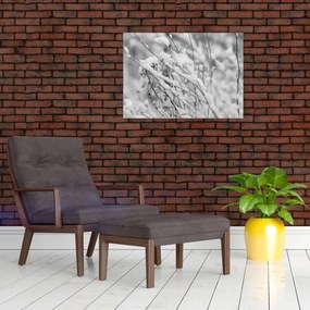 Obraz - Ośnieżone gałęzie (70x50 cm)