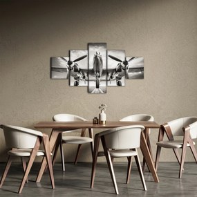 Obraz - Warbird (125x70 cm)
