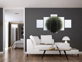Obraz kuli kwiatowej (125x70 cm)