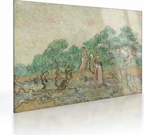 Obraz na szkle - Vincent van Gogh, The Olive Orchard, reprodukcje (70x50 cm)