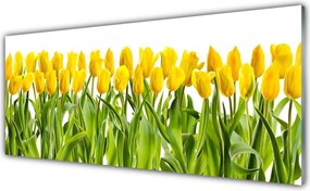 Panel Szklany Tulipany w Porannym Słońcu