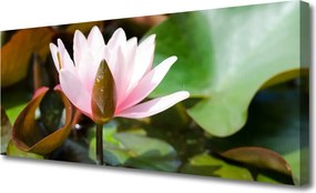 Obraz canvas Subtelny Pąk Kwiatowy