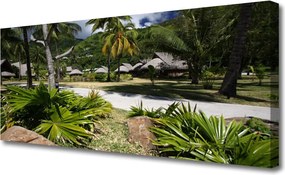 Duży obraz na płótnie Tropikalna Palma w Słońcu