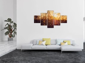 Obraz pola o zachodzie słońca (125x70 cm)