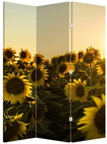 Parawan - Pole słoneczników (126x170 cm)