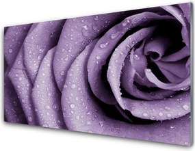 Szkło Ozdobne do Kuchni Aksamitna Róża w Rozkwicie