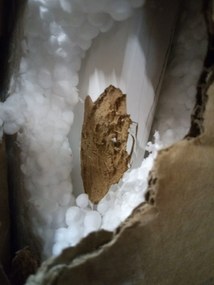 PROMOCJA Biały stół jadalny BERGEN 120x80 cm II. gatunek