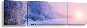 Obraz - Zamarznięta rzeka (170x50 cm)