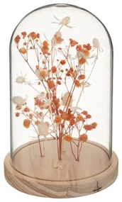 Suszone kwiaty pod szklaną kopułą FLOWER BELL, wysokość 17 cm Kolor: Pomarańczowy