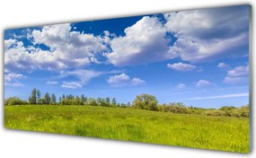 Szkło do Kuchni na Ścianę Bezkres Zielonej Hali