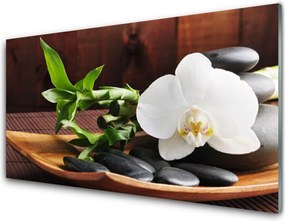 Panel Szklany Harmonijny Duet: Bambus i Storczyk