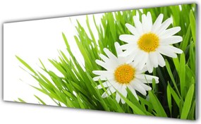 Szkło Dekoracyjne do Kuchni Urok Skromnej Stokrotki