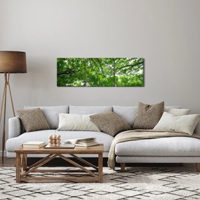 Obraz - Widok do korony drzewa (z zegarem) (90x30 cm)