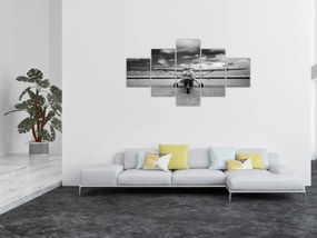 Obraz - Samolot czarno-biały (125x70 cm)