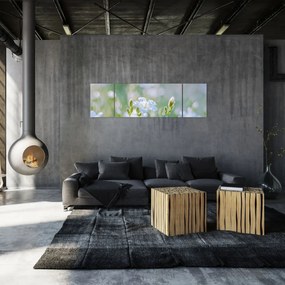 Obraz - Delikatne kwiaty (170x50 cm)