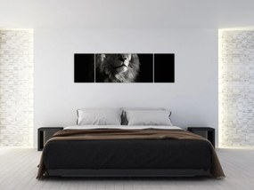 Obraz - Lew (170x50 cm)