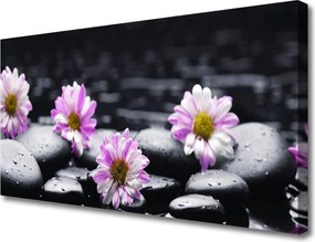 Zdjęcie na płótnie Egzotyczna Orchidea w Rozkwicie