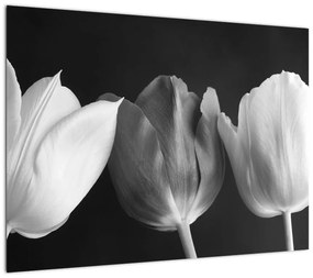 Obraz na szkle - Czarno - białe kwiaty tulipanów (70x50 cm)