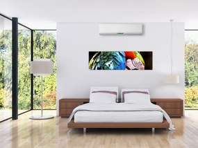 Obraz - Papuga (170x50 cm)