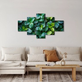 Obraz - Rośliny zielone (125x70 cm)