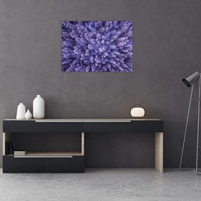 Obraz ośnieżonych drzew (70x50 cm)