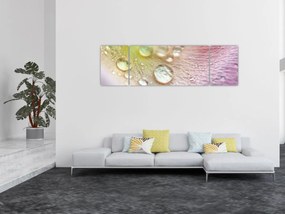 Obraz - Kropelki (170x50 cm)