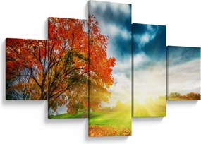 Obraz skąpanego w słońcu krajobrazu (125x70 cm)