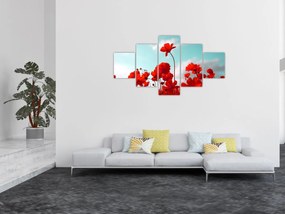 Obraz pola z jasnoczerwonymi kwiatami (125x70 cm)