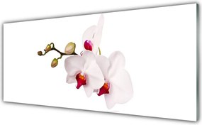 Panel Szklany Botaniczna Elegancja Storczyka
