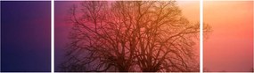 Obraz drzew we mgle (170x50 cm)