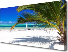 Obraz drukowany na płótnie Tropikalne Wybrzeże z Palmą