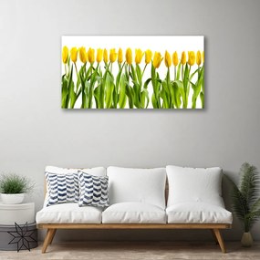 Obraz Canvas Tulipany Kwiaty Natura