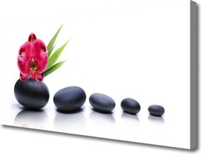 Obraz canvas Artystyczna Wizja Orchidei