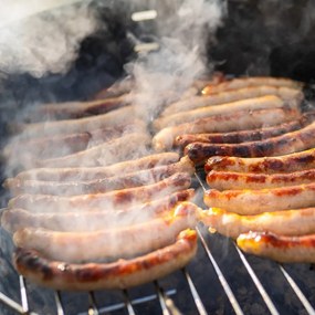 Ruszt do grillowania – Orion