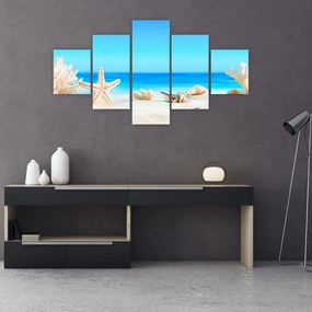 Obraz - Martwa natura z muszelkami (125x70 cm)